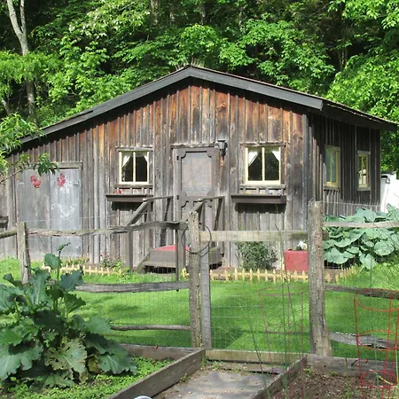 Villa The Renovated Barn At Seneca Rocks Exterior foto