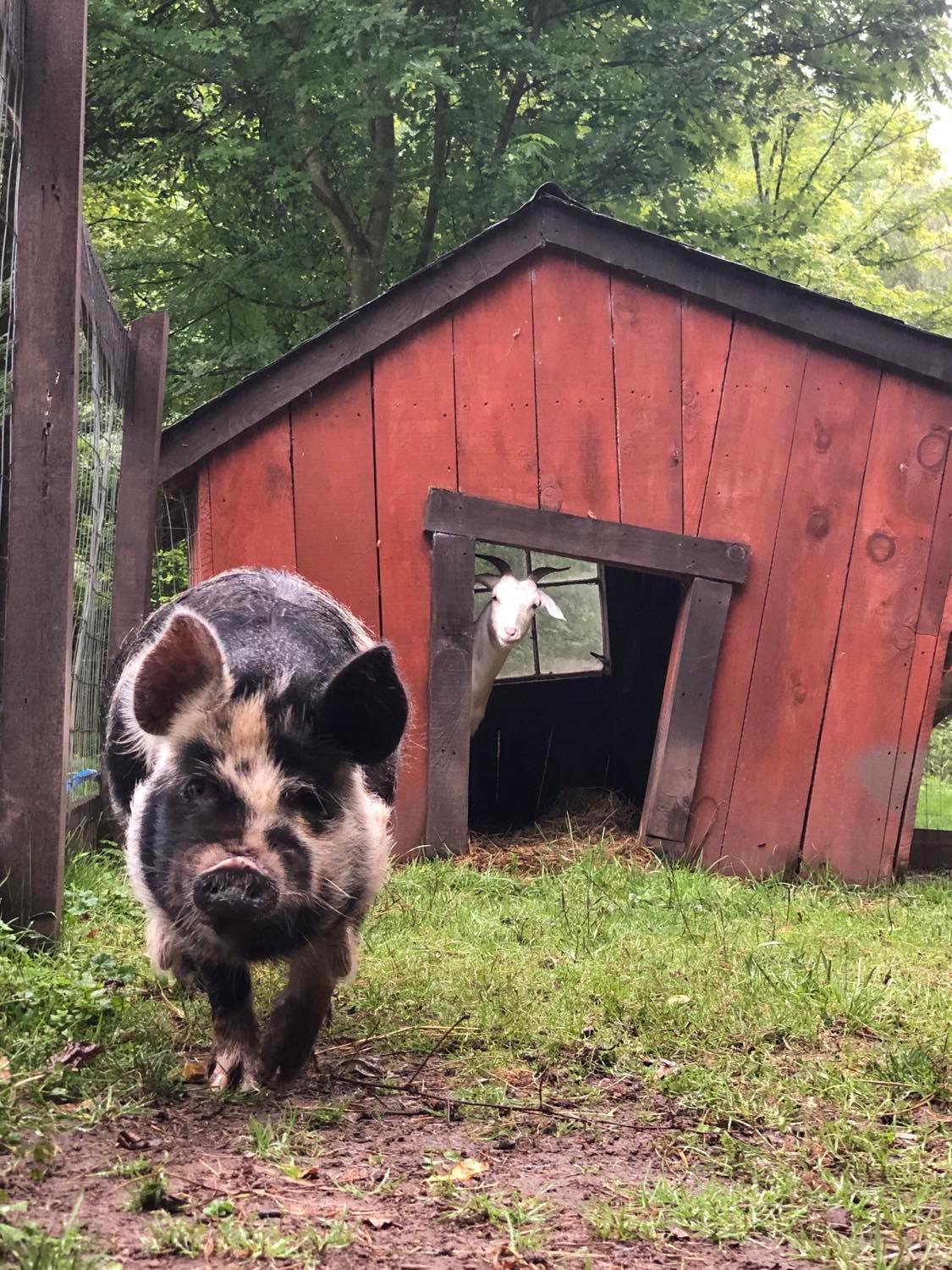 The Renovated Barn At