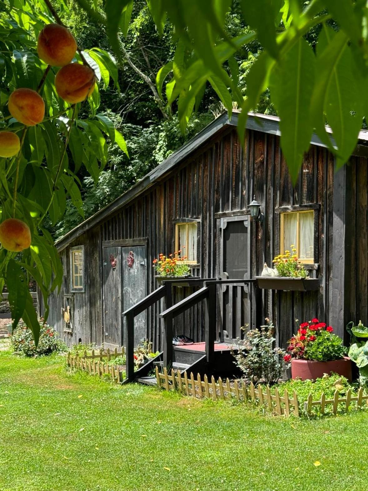 The Renovated Barn At Holiday home